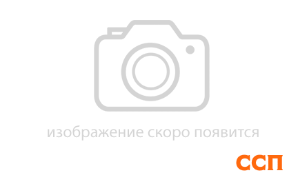 Сайт начал свою работу